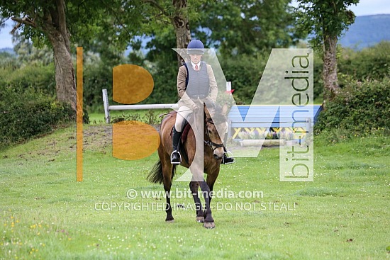Rincoola RDS Irish Draught/Connemara Qualifier